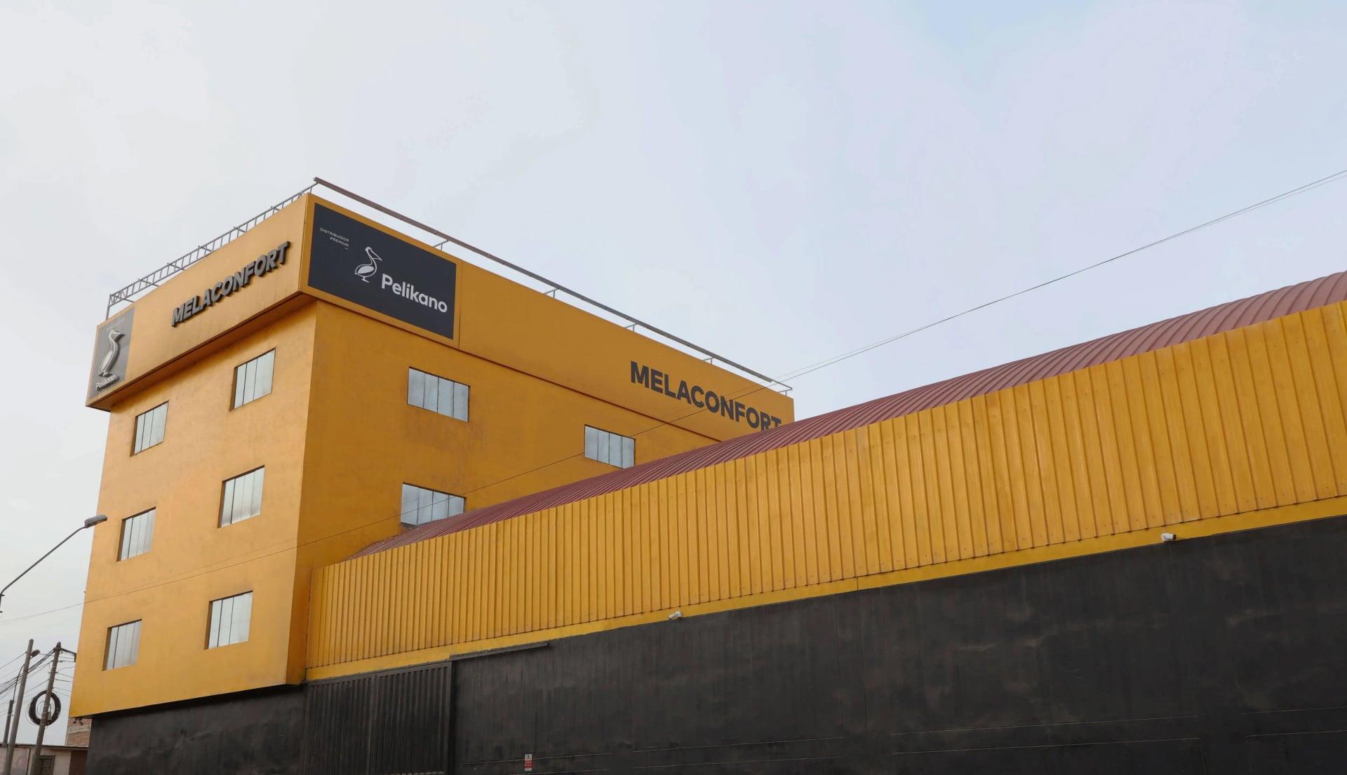 Nueva Colección 2026 disponible